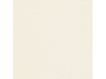Vizitkový papier A4/220g Image Rives Laid Pale Cream (bal=25hár)